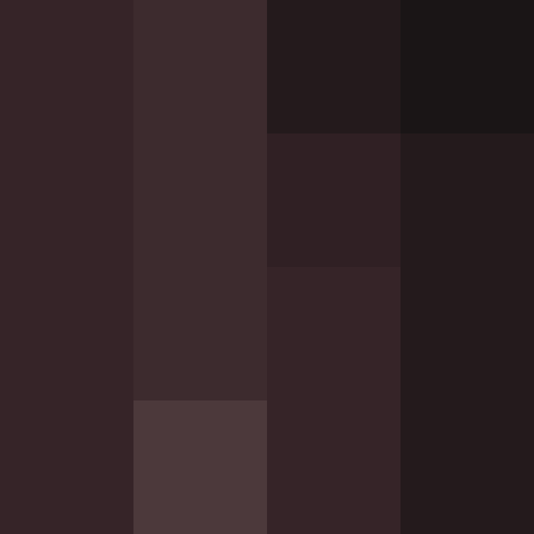 xentany's skin