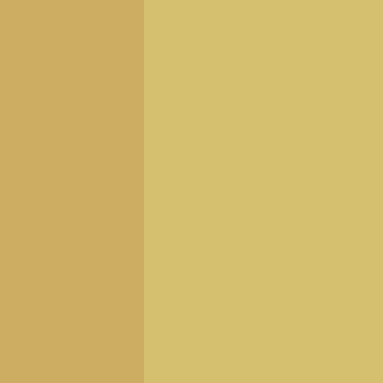 Mine_Skin's skin