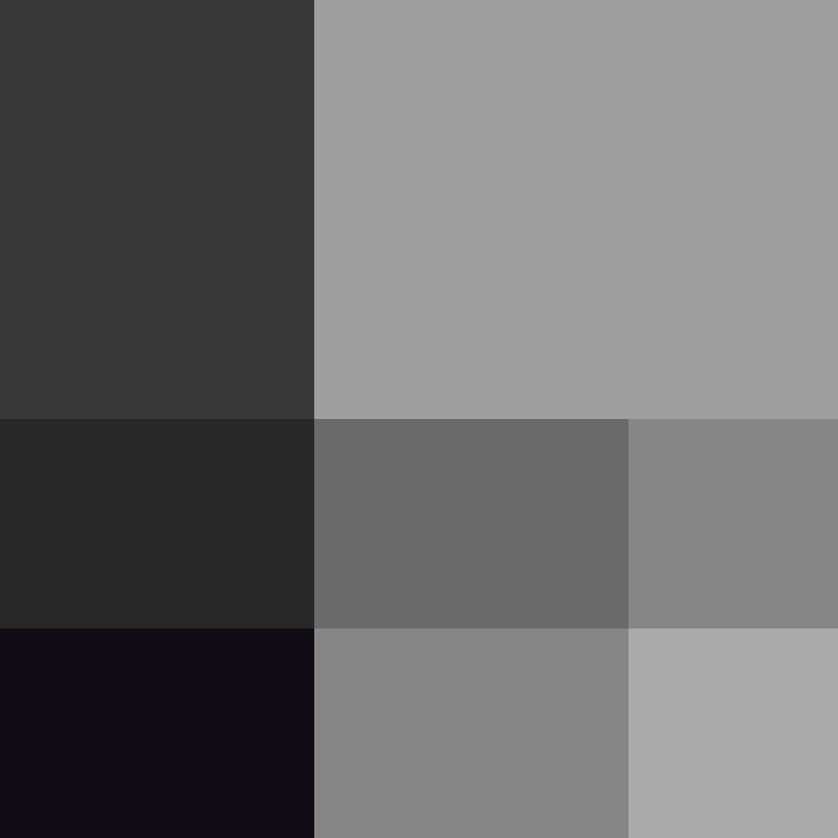 xX_No_Income_Xx's skin