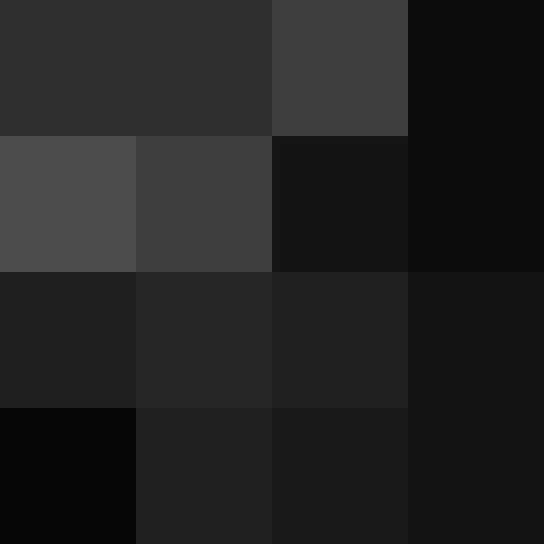 Cartizoll's skin