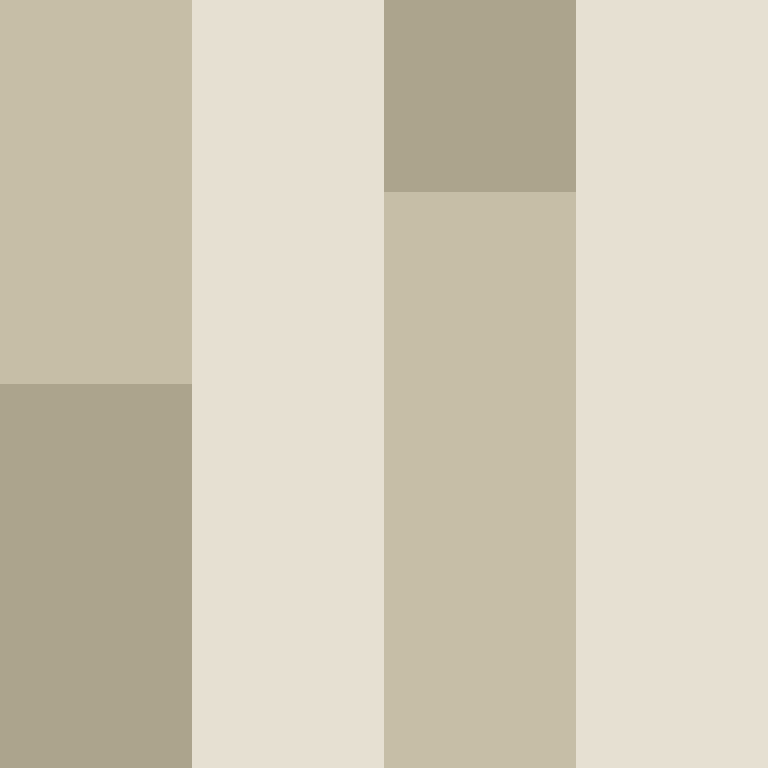 acin5's skin