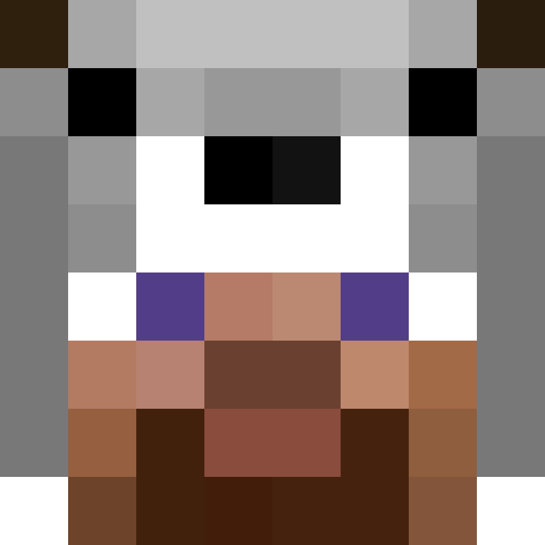 wiredframe's skin