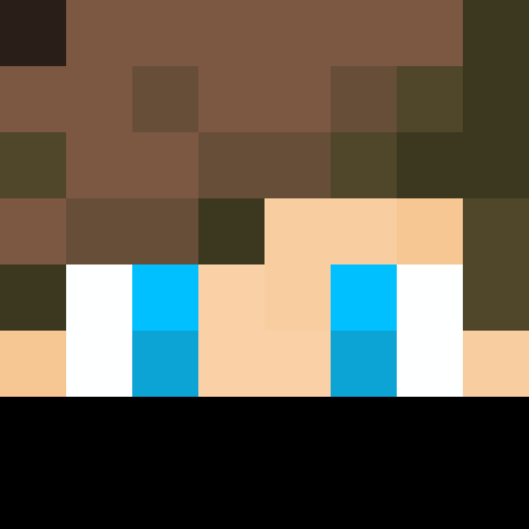 wiredframe's skin