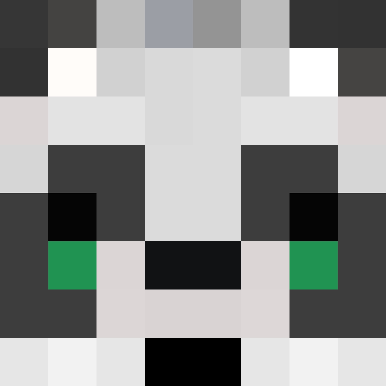 SkinEnthusiast's skin