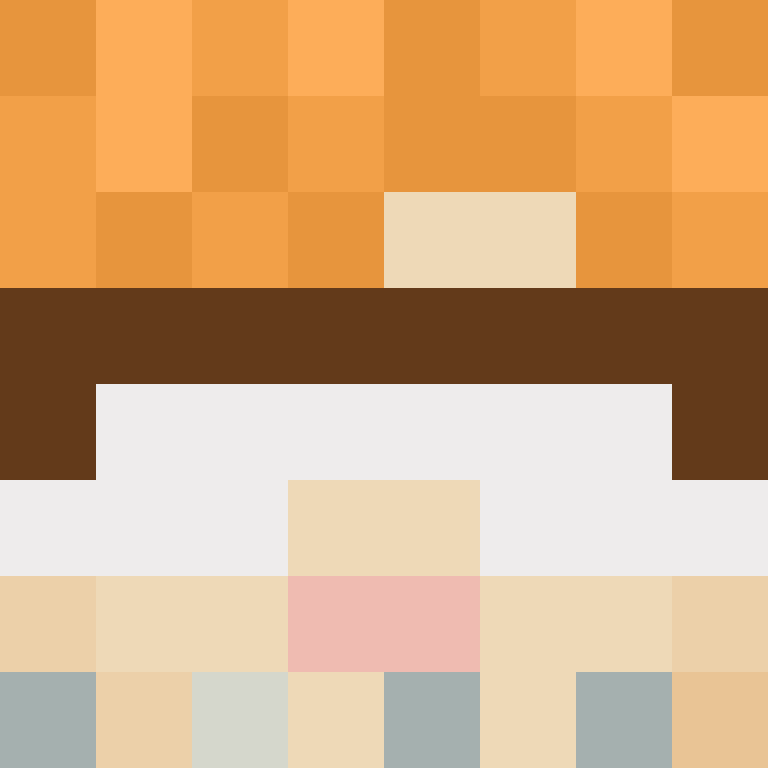 CeilingBird's skin