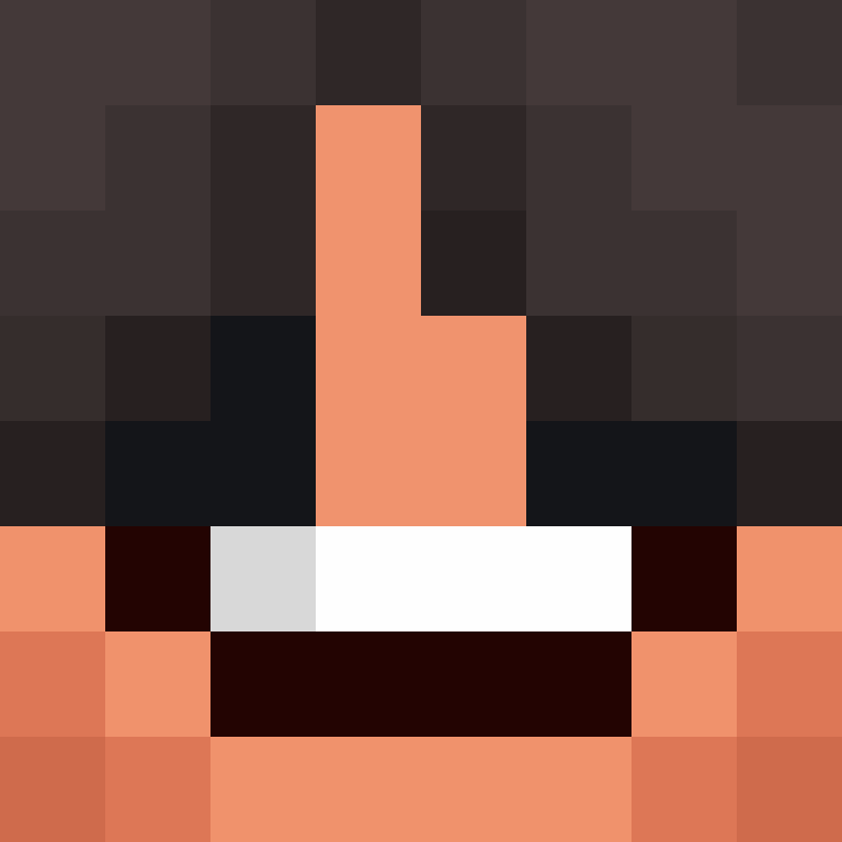 wiredframe's skin