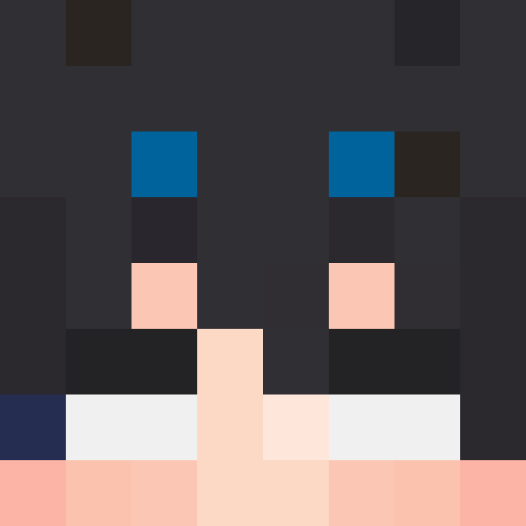 8aca680b22461340's skin