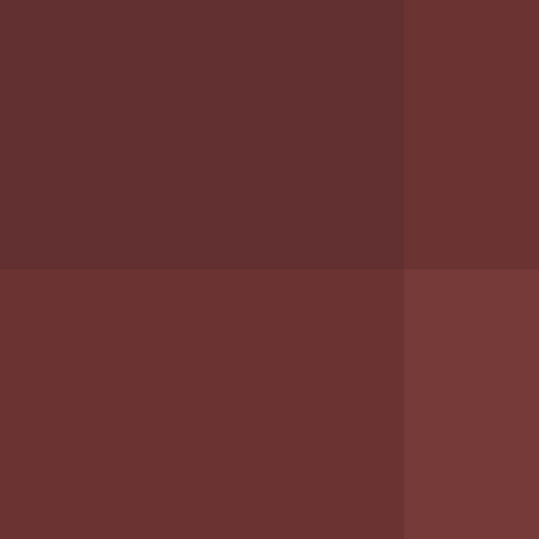 dragloner's skin