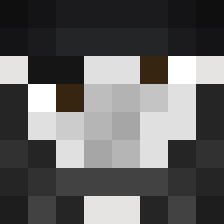 deminecrafterlol's skin