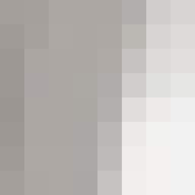 xX_No_Income_Xx's skin