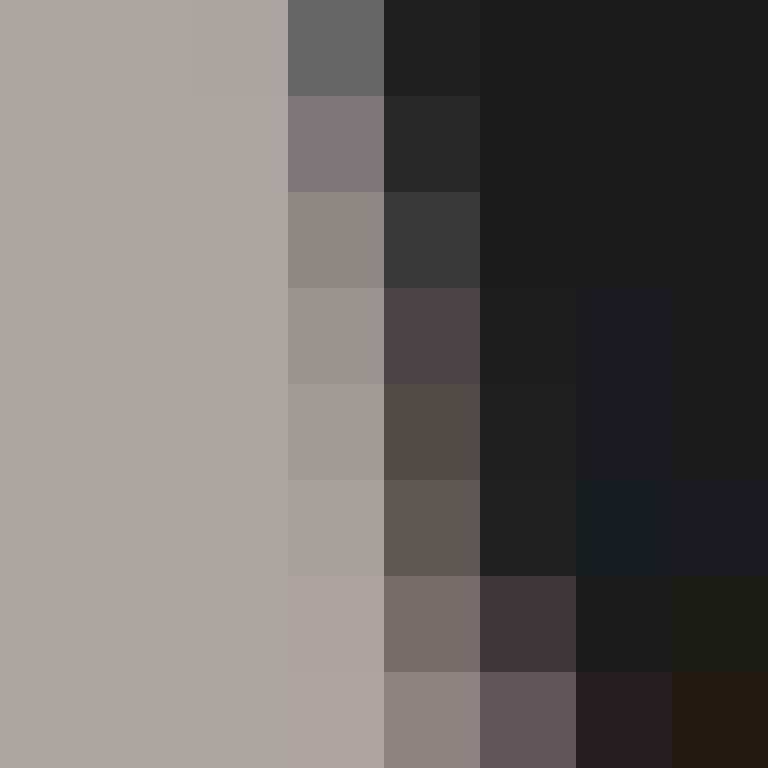 acin5's skin