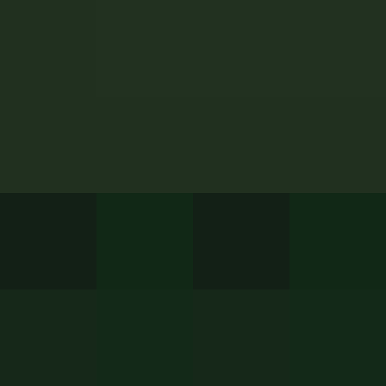 CrypticLoser13's skin