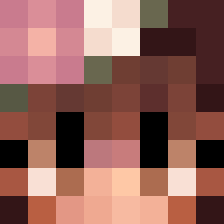 BukkitAPI's skin