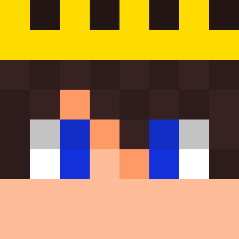 wiredframe's skin