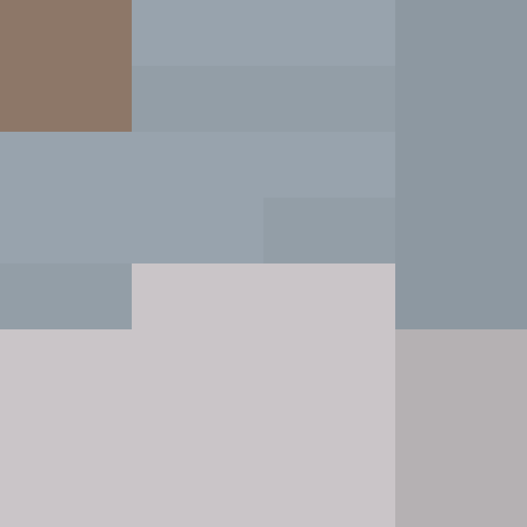 DonaldTrump42's skin