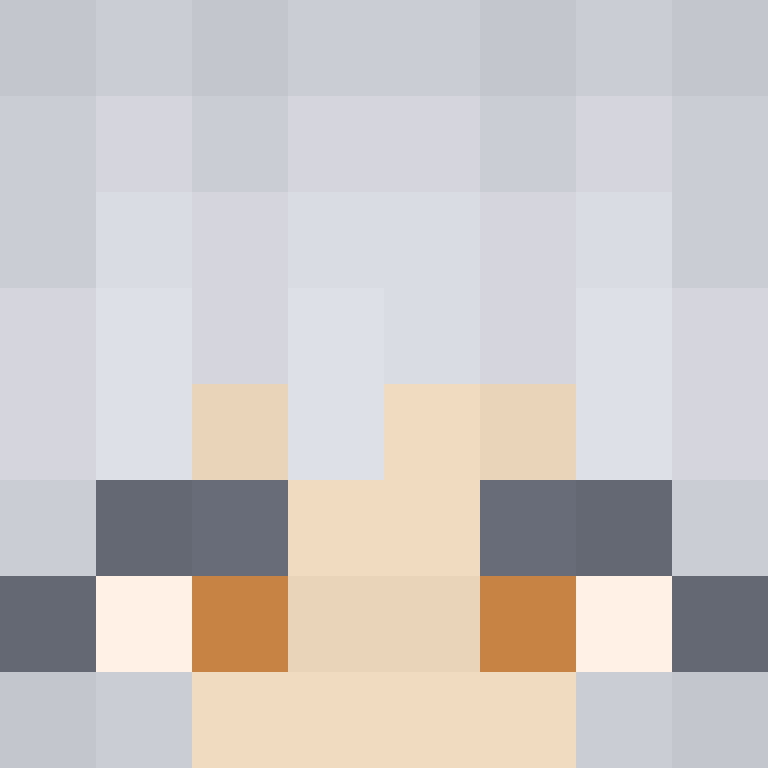 BukkitAPI's skin