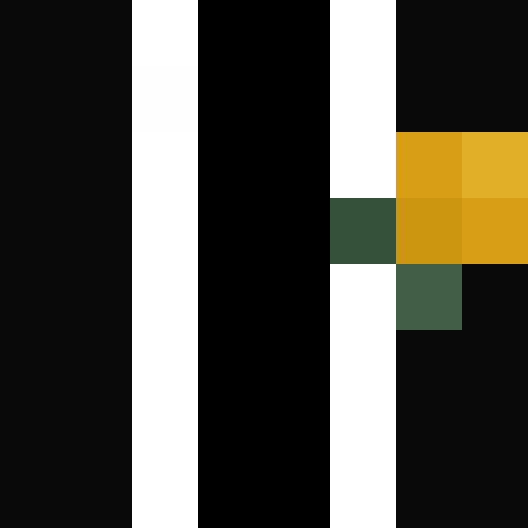 sureelmk_'s skin