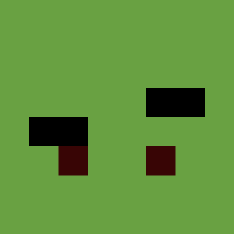 xentany's skin
