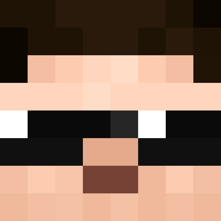 PatatjeMC's skin