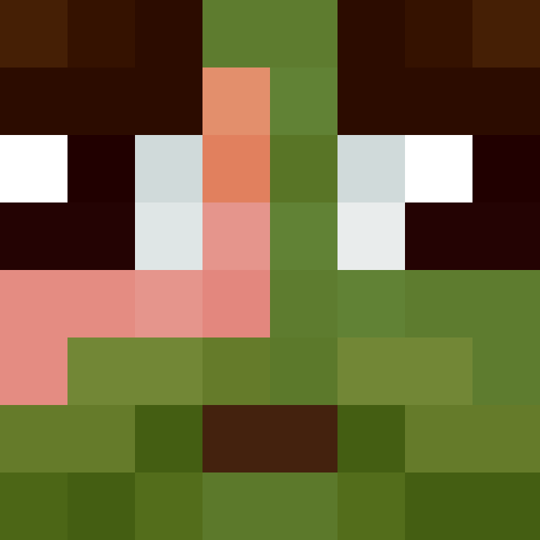 CeilingBird's skin