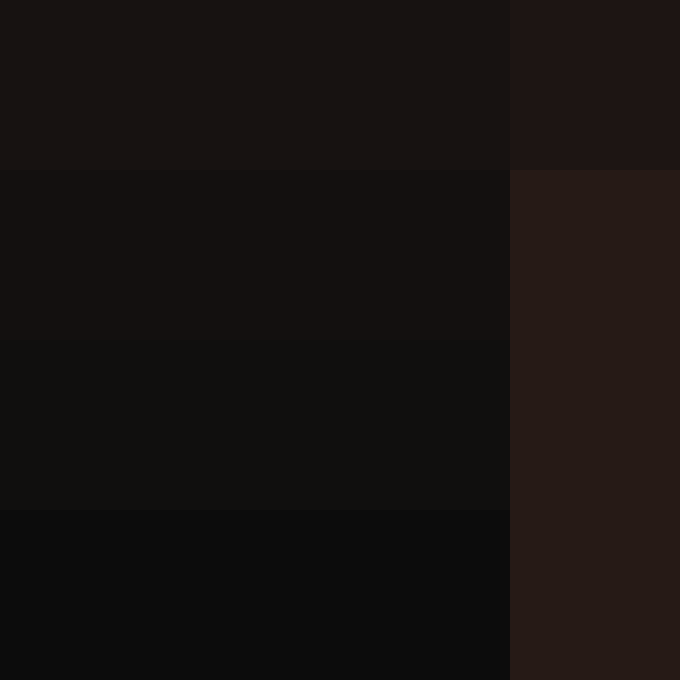 ElectronicSex's skin