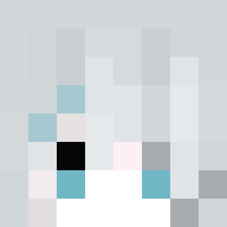 wiredframe's skin