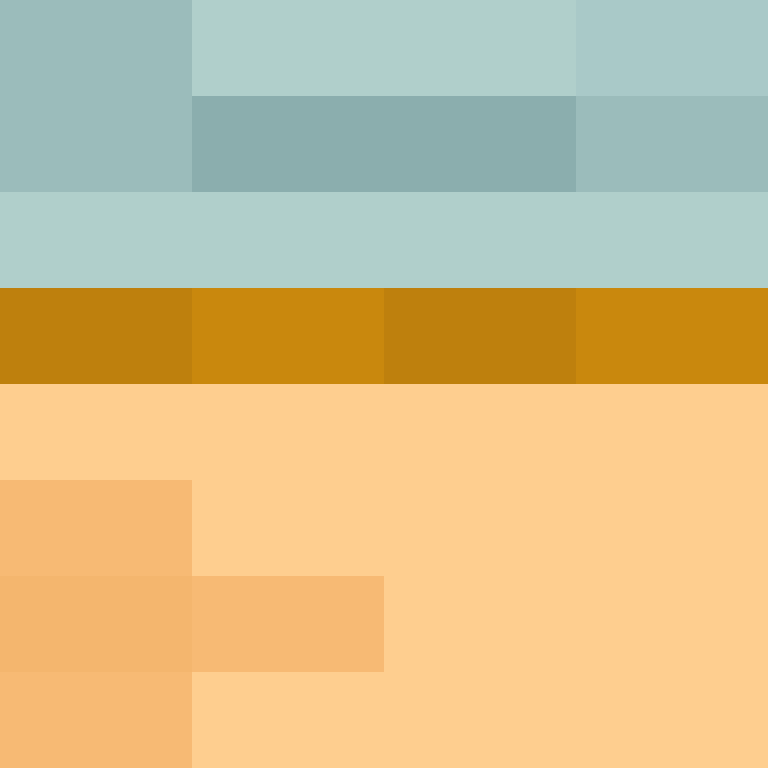 AutoSkin's skin