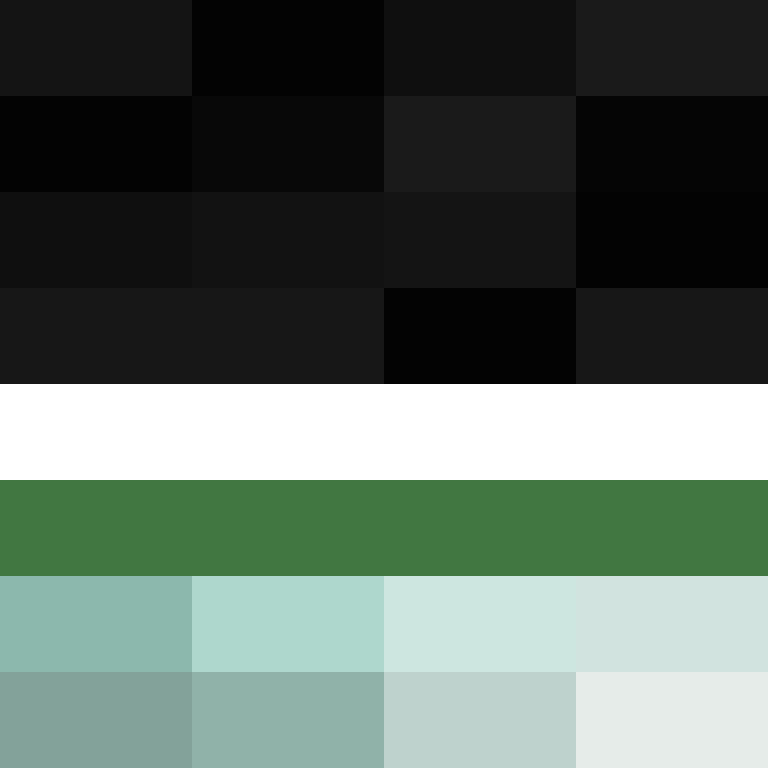 hpyef's skin