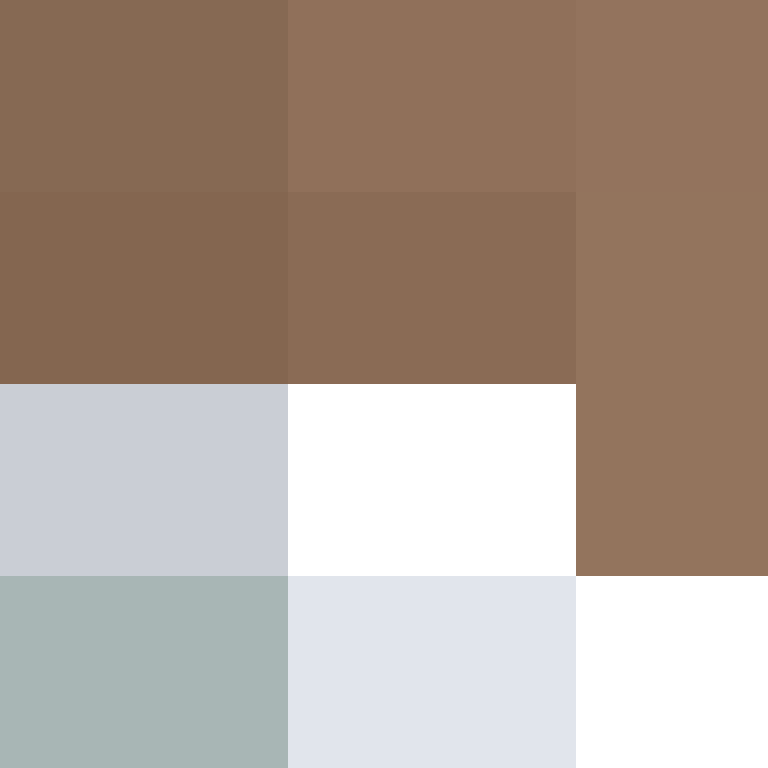 WebNX's skin