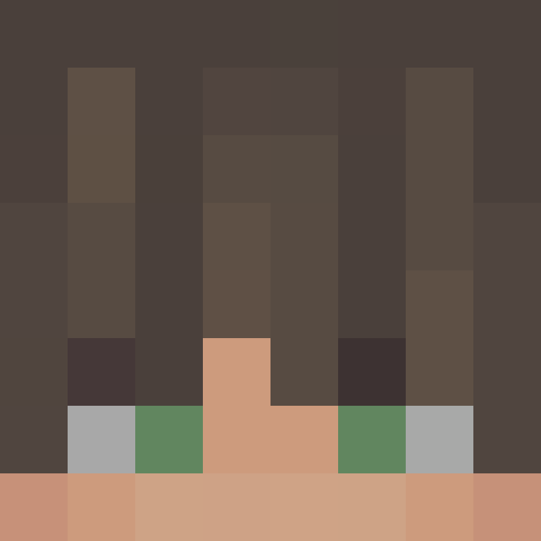 8aca680b22461340's skin