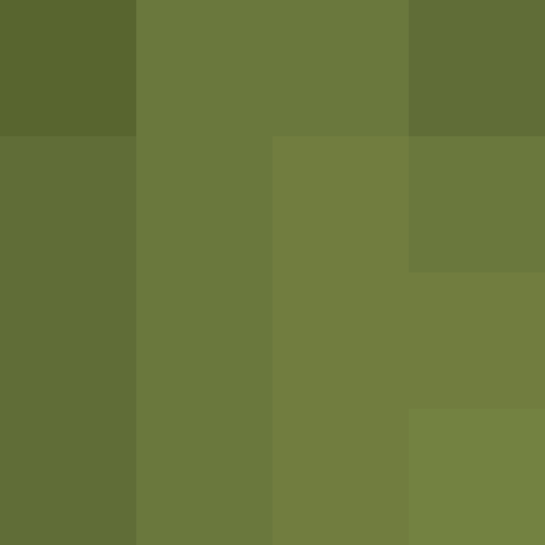 intersecato's skin