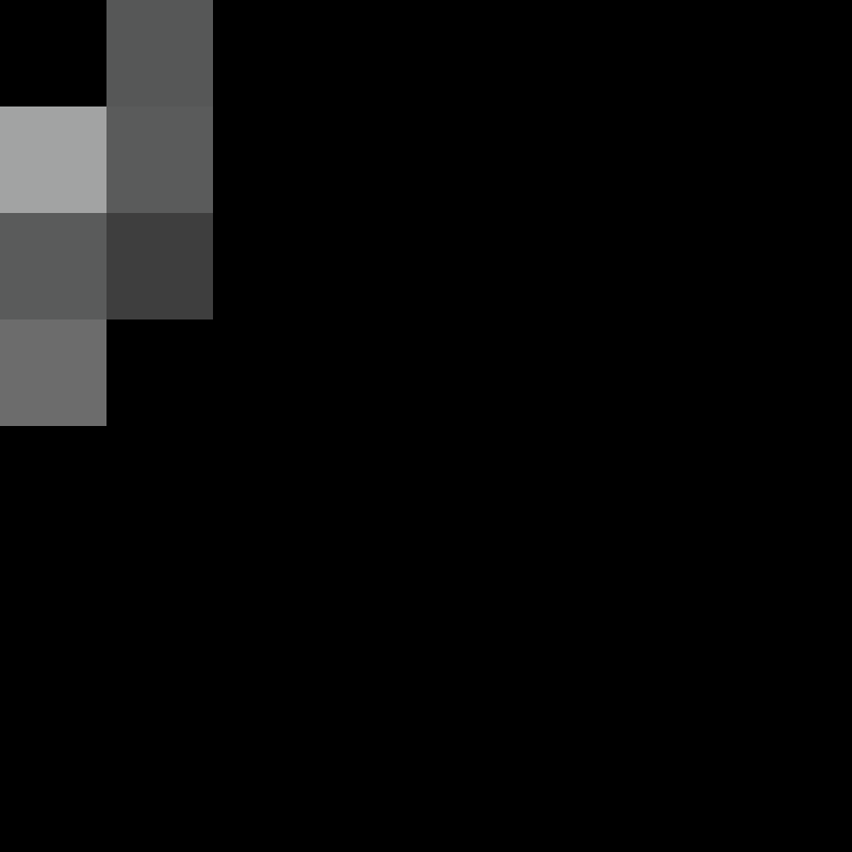 executory's skin
