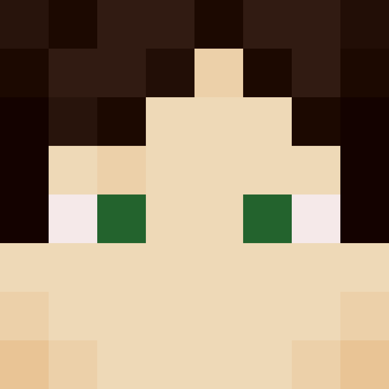 xX_No_Income_Xx's skin