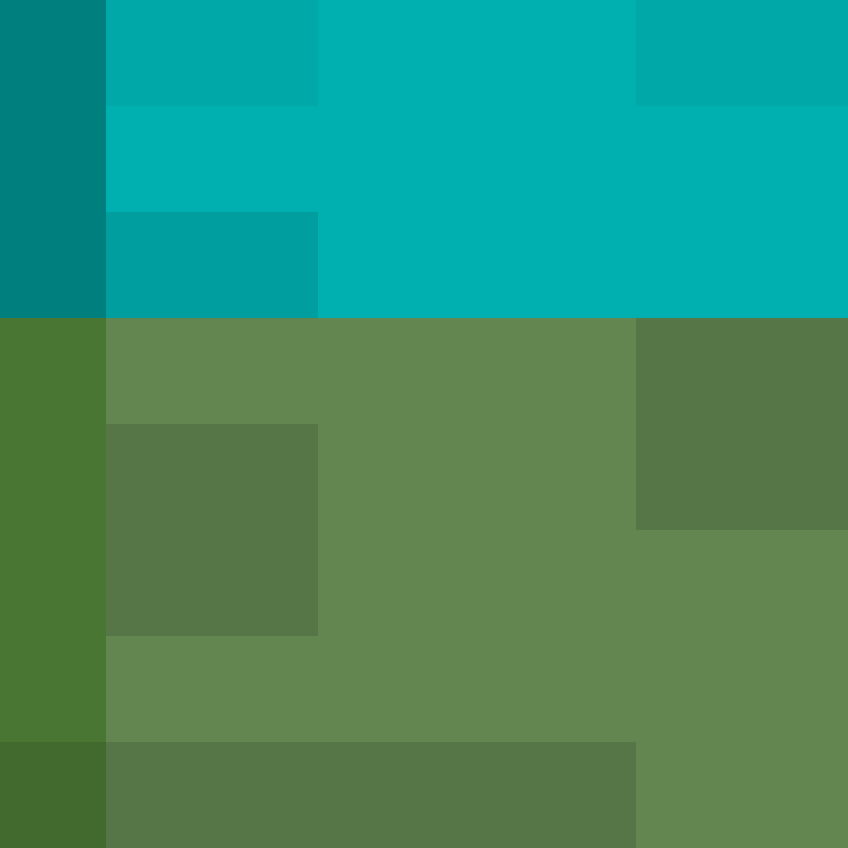 PtakopyskCZ's skin