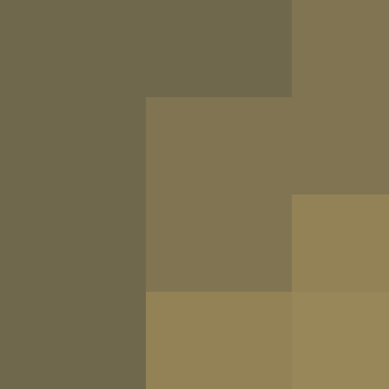Cartizoll's skin