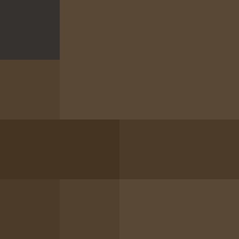 acin5's skin