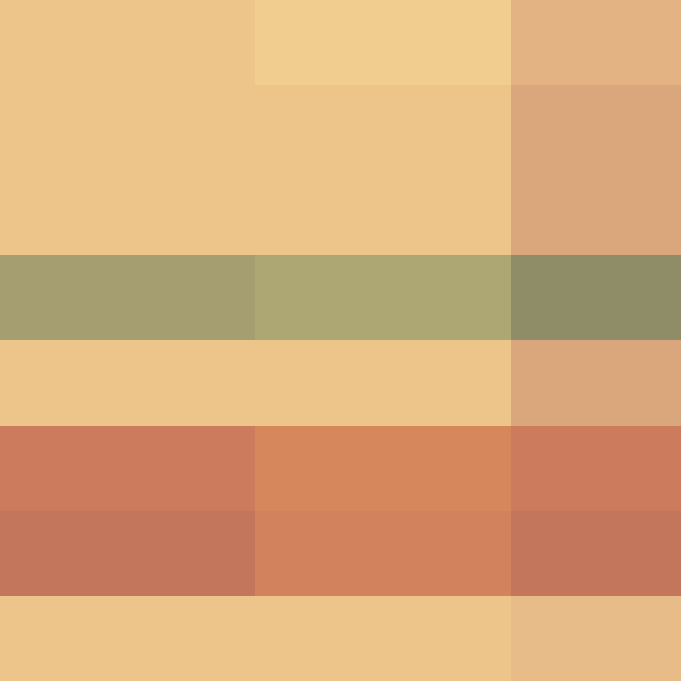 BukkitAPI's skin