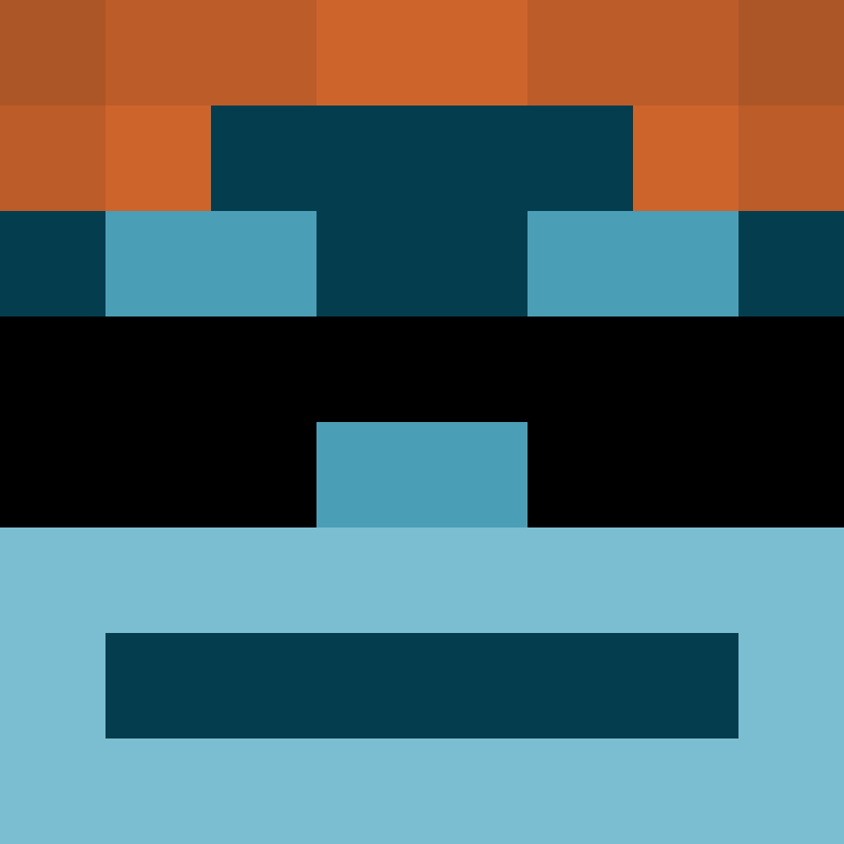 wiredframe's skin