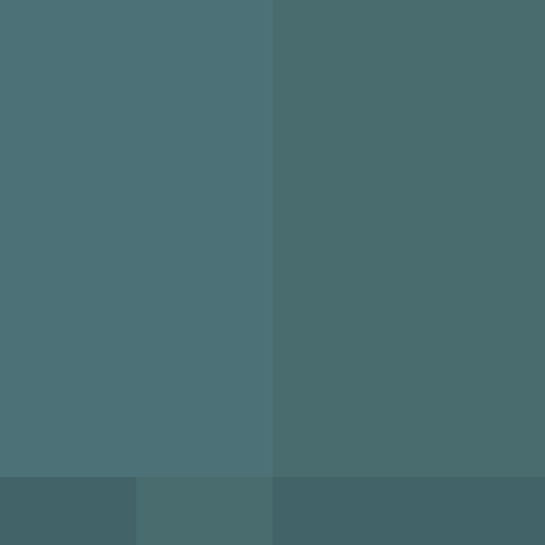 Ryuzln's skin
