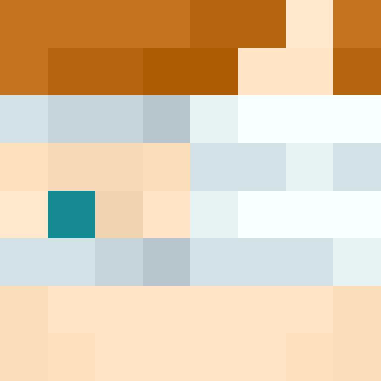 MHF_Mineskin's skin