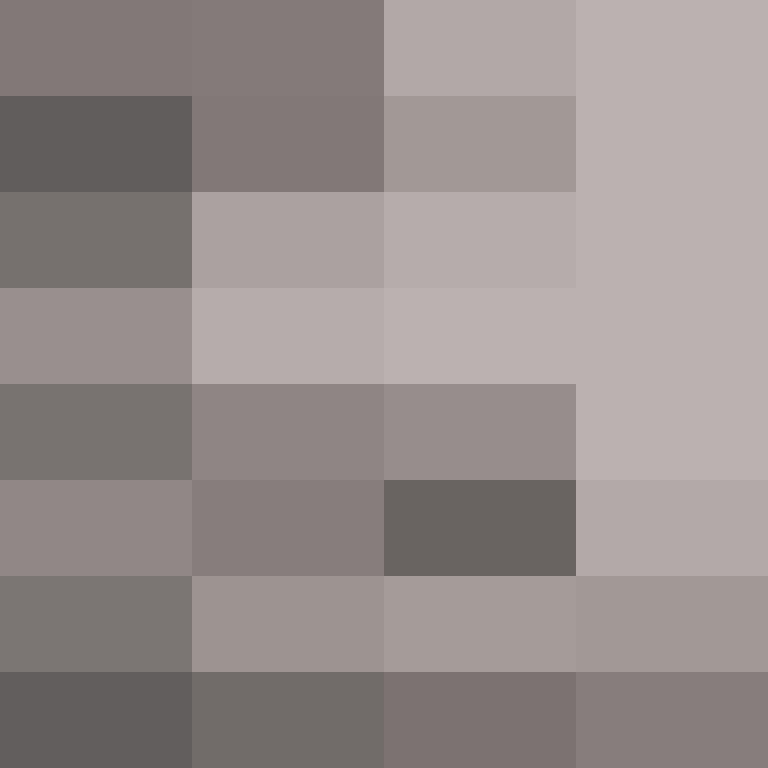zervation's skin