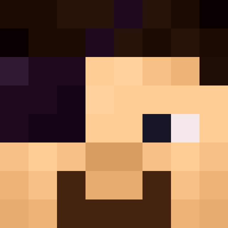 CeilingBird's skin