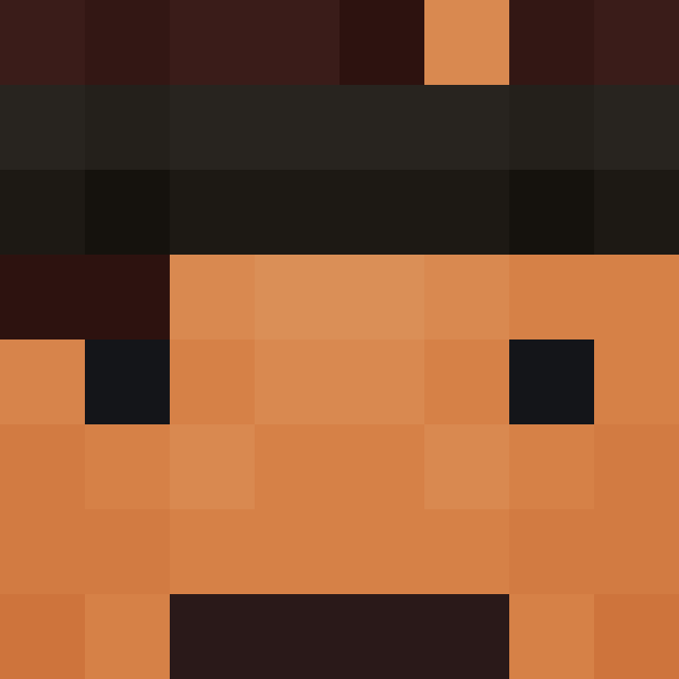 wiredframe's skin