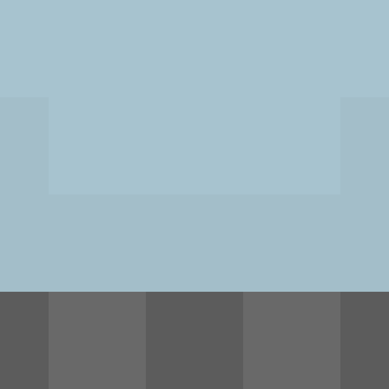 PtakopyskCZ's skin