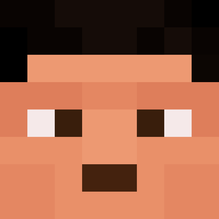 wiredframe's skin