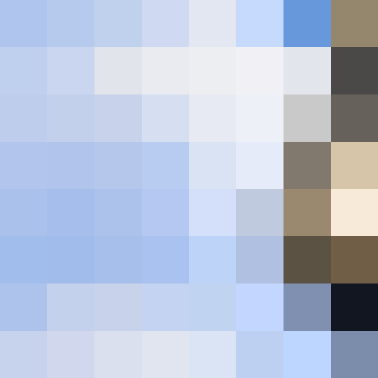 AutoSkin's skin
