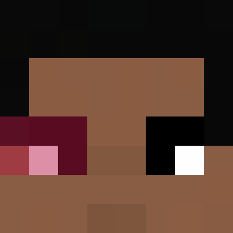 8aca680b22461340's skin
