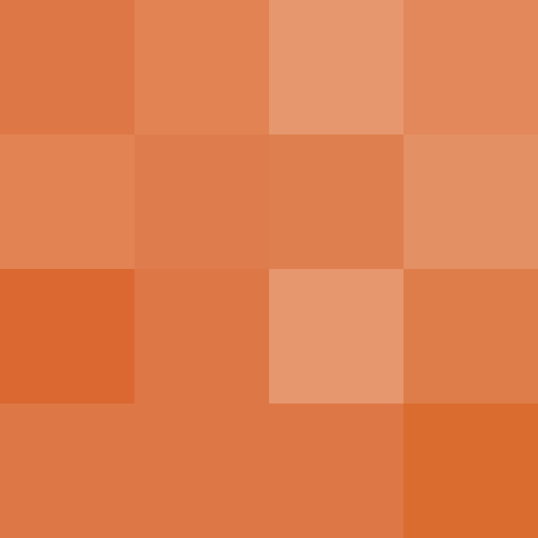 acin5's skin