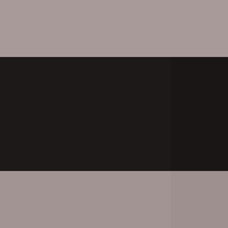 dragloner's skin