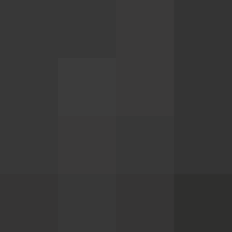 PtakopyskCZ's skin